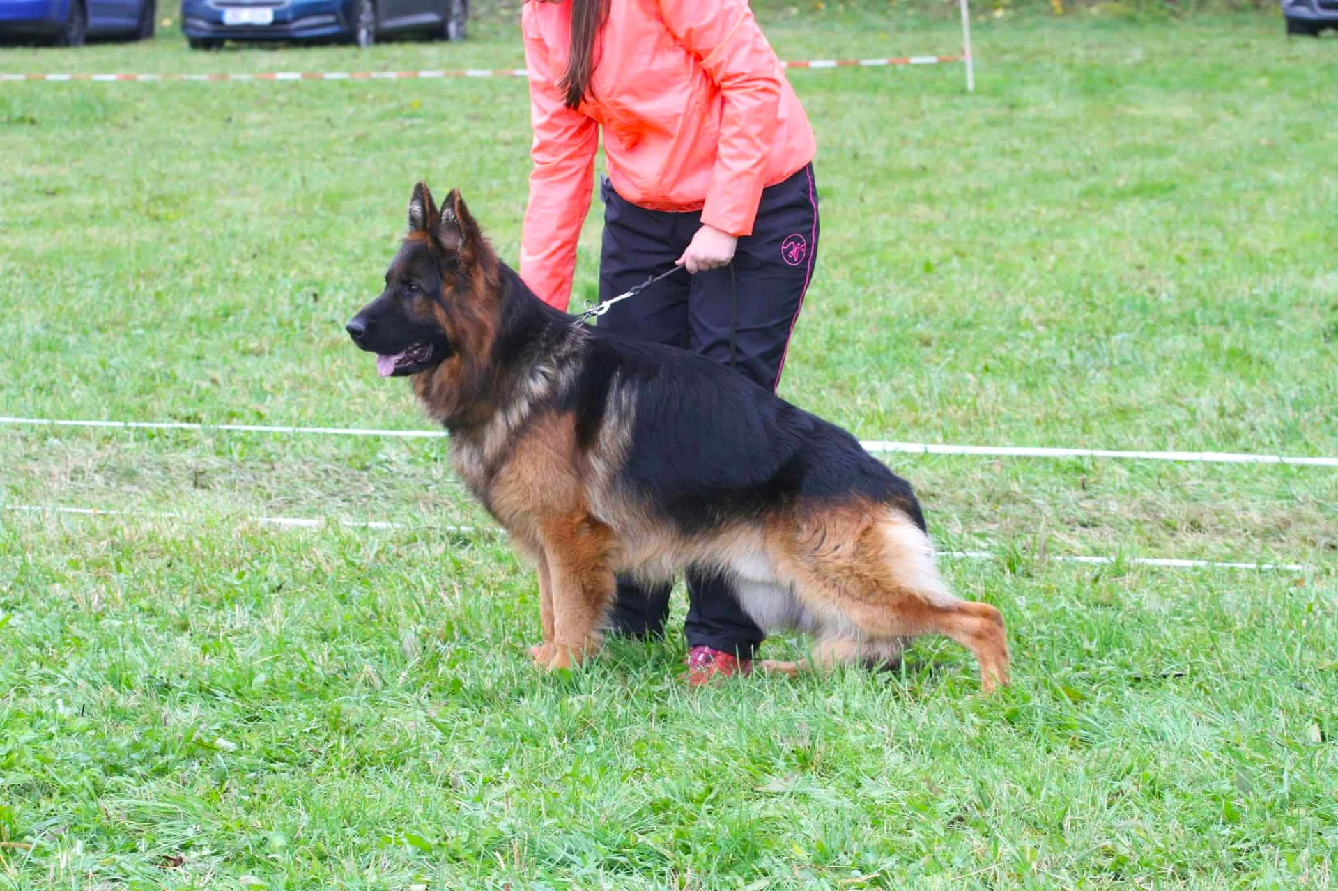 Atrei z Henmonu - OV Heroltice, V1, Oblastní vítěz (1/5)